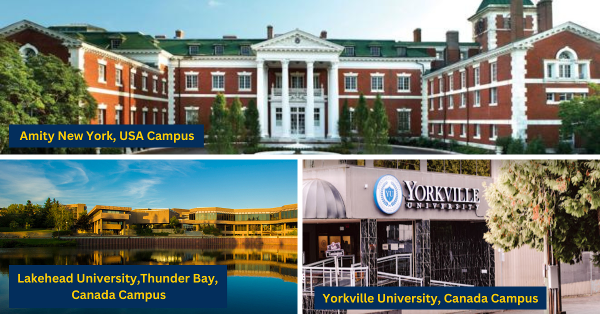 阿米提大学新加坡分校申请条件揭秘｜你是否符合录取标准引爆信心