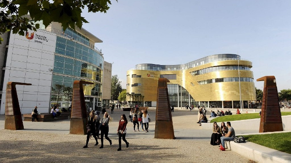 阿米提大学新加坡分校文凭含金量高吗？｜权威解析与价值评估