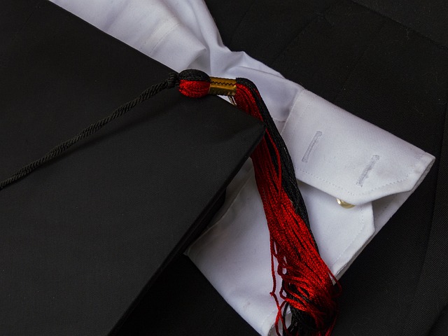阿米提大学新加坡分校荣誉